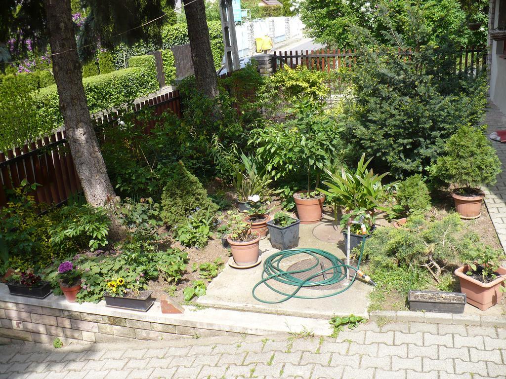 Appartement Kitty Apartman à Miskolc Extérieur photo